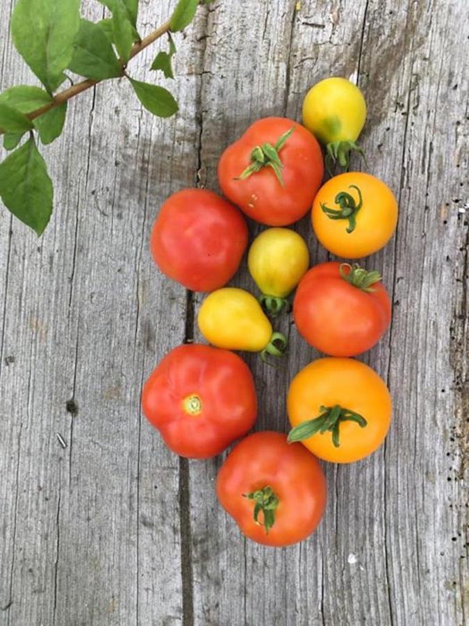 Kellerstoeckl Am Veganen Bio-Lebenshof "Varm - Die Vegane Farm" Sulb Екстериор снимка