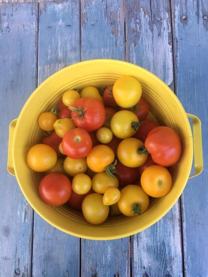 Kellerstoeckl Am Veganen Bio-Lebenshof "Varm - Die Vegane Farm" Sulb Екстериор снимка